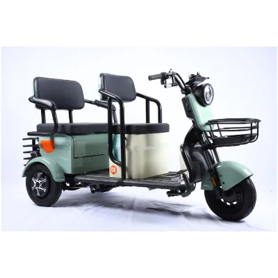 Open Cabin Cargo Tricycle with 48V Rear Hub Motor 500W to 800W 3 Speed Steel Frame for Home and Leisure Use