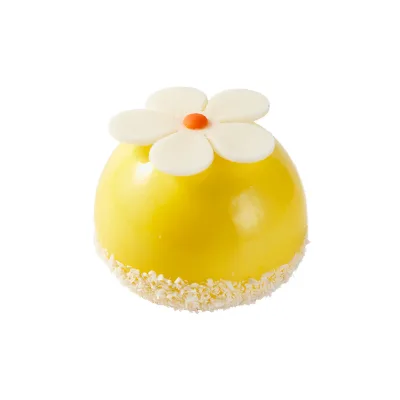Xingran OEM Halal Food Frozen Cream Mousse Cake 85g Coated Square Shape Box Family Afternoon Tea Dessert
