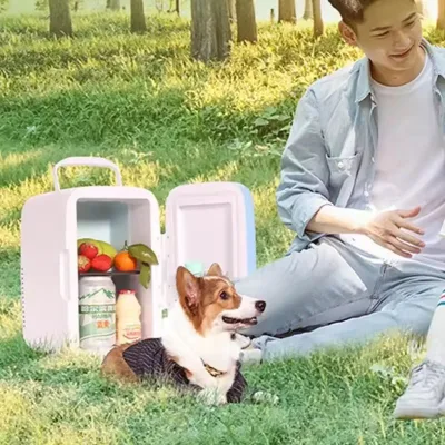 4L Thermoelectric Cooler Camping Car Fridge 12V for Home Use for Travel Mini Refrigerator for Medicine Storage