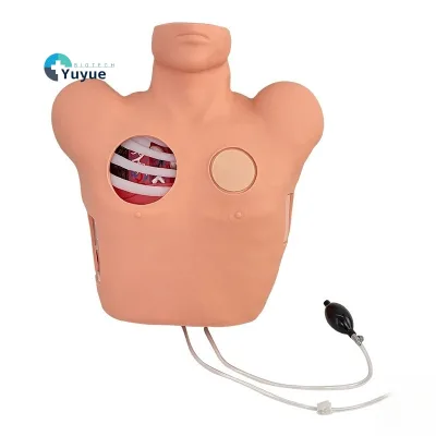 Medical Science Pleural Puncture Drainage Simulated Pneumothorax Decompression and Closed Chest Drainage Model