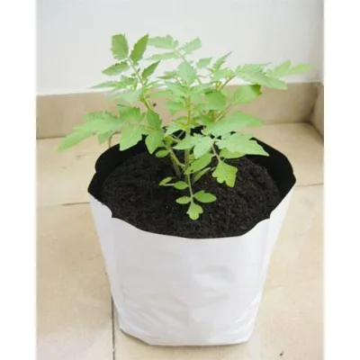 Custom UV Resistant PE Vegetable Fruit Tree Flower Seedling Grow Bag