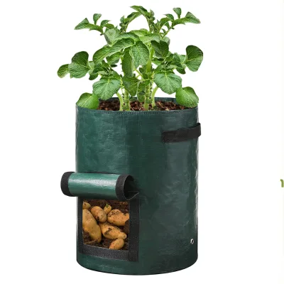 Supplie Grow Bags for Vegetables Green Plant Pots Plastic PE Material Potato Gorw Bags