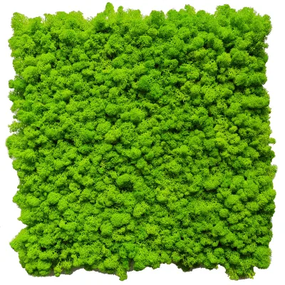 S02560 Preserved Moss Panel Stabilized Moss Art Wall Arrangement Tilancia Real Natural Eternal Moss Wall for Hotel Home Decor