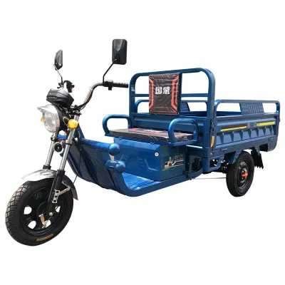 Free USA Market Hot Sale Electric Bicycle 3 Wheels Cargo Bike 800W 20Ah 60V Long Range Family Delivery Bikes 3 Wheel Bike Cargo