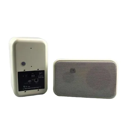 2 Way Wall Speaker With School Bell Timer for Voice Alert System