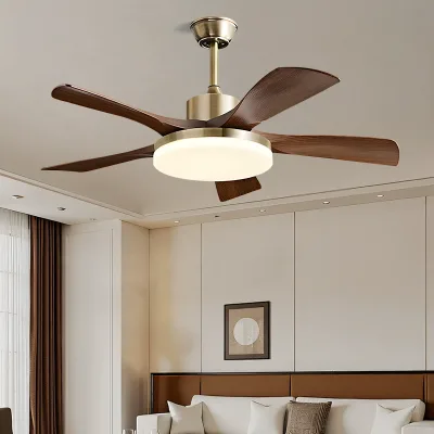 Nordic Modern LED 5 Plastic Ceiling Fan Light Remote Control Dimmable Intelligent Inverter Hanging Home Dining Living Room