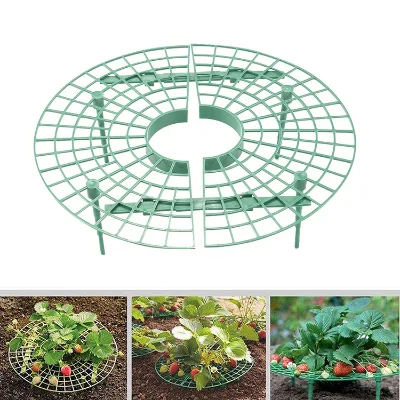 Removable Round Vine Fruit Plant Stand Holder Growing Rack Far From the Soil Gardening Bracket Strawberry Support Frame Cage