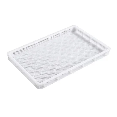 Food Grade Stackable Plastic Drying Trays Plastic Pallet Hdpe PP Material for Fruits Vegetable for Agriculture