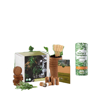 Vertical Wall Herb Grow Kit Plant Fiber Indoor Gardening Pot Planter Home Wedding Gifts Garden Plant Markers Garden Gift Box
