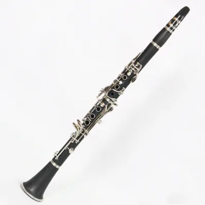 OEM Chinese Manufacturer Colorful Handmade Clarinetto Black B Flat Plastic Clarinette 17 Keys Bb Matt Nickel Plated ABS Clarinet