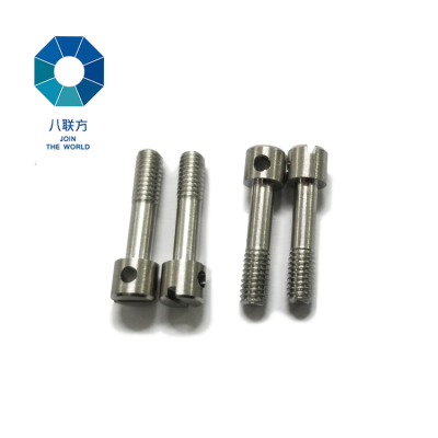 DIN 404 Custom Hole Sealing Screw on Bolt Screw