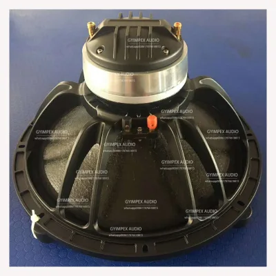 Big Horn 15 Inch Coaxial Speaker 550w+110w Rms 3 Inch Coil Neodymium Magnet Full Range 2-way Coaxial Speaker for Stage Monitor