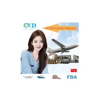 Cheapest Air/sea Cargo Services Shipping Agent to Nigeria Door to Door Service Shipping Rates From China to Nigeria/netherlangds