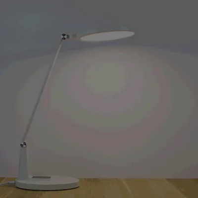 Student Desk Lamp LED Healthy Lighting Eye Protection Flicker-Free Blue Light-Free Night Light Dormitory Study Modern Lamp