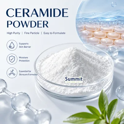 Natural Plant Ceramide NP Powder High Purity Rice Bran Extract Ceramide for Skin Hydration Cosmetics Ingredients Bulk Price