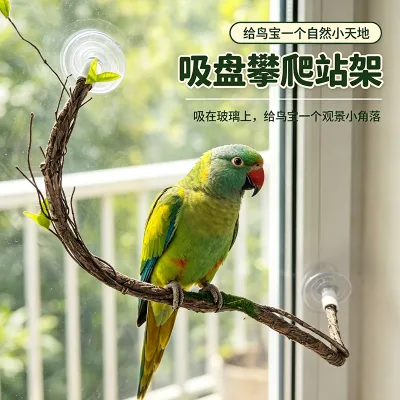 Parrot boredom-relief toy, small pet climbing branch perch training interactive toy, birdcage decoration toy