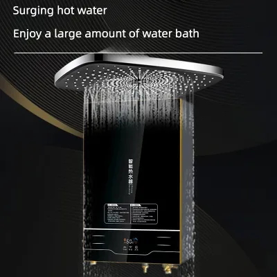 Manufacturer Wholesale Intelligent Battery Water Heater Direct Discharge Toilet Shower Thermostat Tankless Household Gas Water