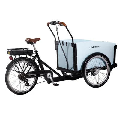 Reverse 3-Wheel Electric Cargo Bike with Trailer Price for Sale in Europe