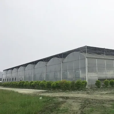High-quality Agricultural Breeding System Prefab Greenhouse for Tomato and Strawberry Breeding