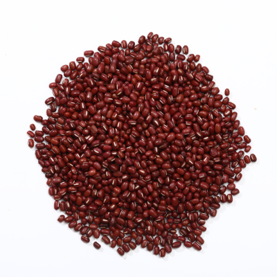Red Bean Bulk Imported Premium Red Vigna Bean for Sale