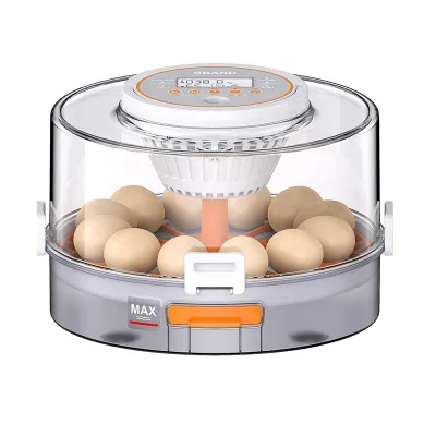 Mini Egg Incubator With Automatic Water Ionic Waterbed Replenishment and Temperature Control Egg Incubator for Chicken and Duck