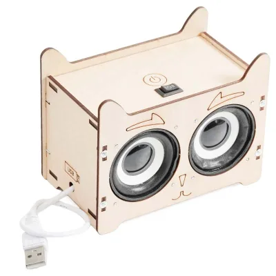 DIY School Learning Wooden Stem Education Toy Wireless  Mini Speaker Stem Learning Toys