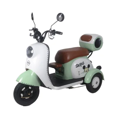 China Factory Customized Intelligent Cheap Price Small Passenger Used Electric Tricycles