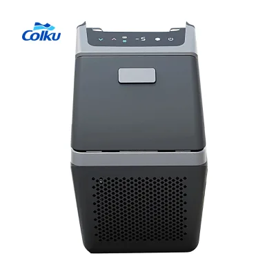 Mini 4.6L Texas Model Y Portable Car Fridge Freezer 12V Modified Armrest Compressor Refrigeration 24V Voltage Heating Plastic
