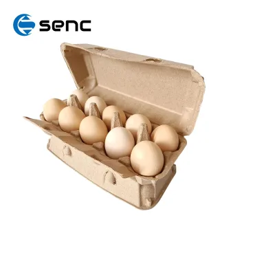 Biodegradable Molded Pulp Egg Tray 4 6 12 30 Cells Eco-friendly Recycled Paper Egg Packaging Cartons Customizable Style Bulk