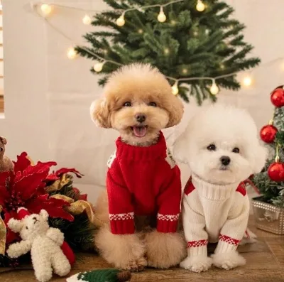 Factory Outlet Hot Sale Autumn and Winter Merry Christmas Style Warm Knit Christmas Pet Clothes