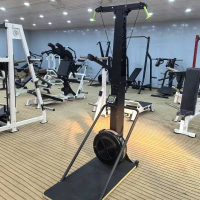 Supply Indoor Rowing Machine Aerobic Arm Strength Abdominal Trainer Steel Home & Commercial Use Wind Blocker