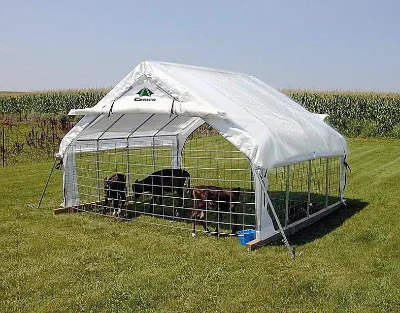 Animal Tent . Chicken Coop