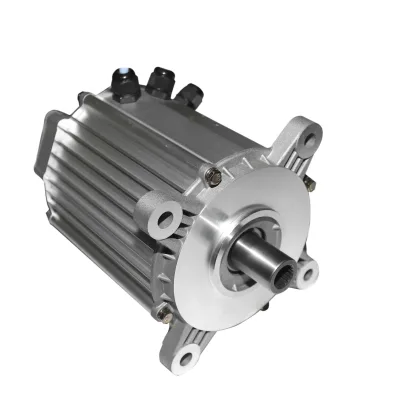 Dc 48v 60v 2000w Bldc Motor Planetary Magnet Electric Dc Gear Geared Motors Electric Car Kit