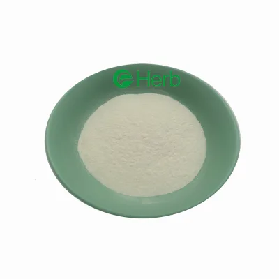 High Quality Beta Glucan Powder Cell Wall Powder 70% 80% 90% Yeast Beta Glucan