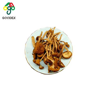 Chinese Factory of Edible Mushroom Type,edible Fungus