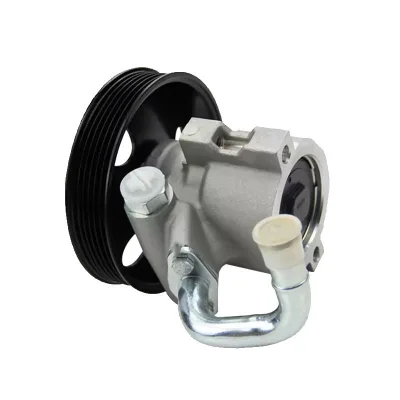 Power Steering Pump 96450003 95216832 96451461 95977416 94572154 95216830 for Chevrolet