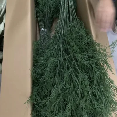 Hot Sale Artificial Plant Green Branch Artificial Greenery Stems Green Leaves Willow Leaves for Wedding Floral Arrangement