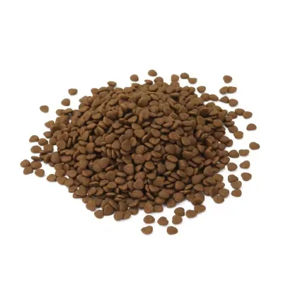 OEM Custom Dog Dry Food High Protein Low Fat Sugar-Free Natural Flavor Skin Coat Health ISO9001 Certified Wholesale Bulk Factory