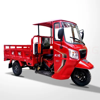 Mototaxi Tricimoto Trike Motorcycle