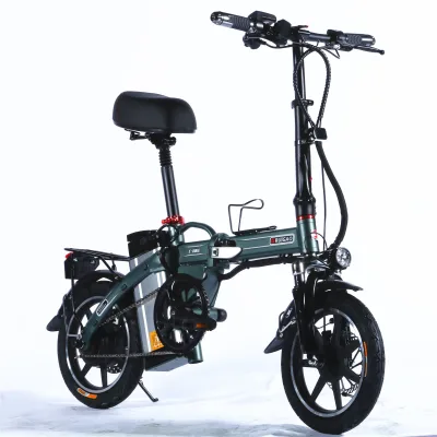 1000W Folding Electric Bicycle Cheap Beach Electric Dirt Bike 500W Lithium Battery Foldable Ebike/Bici Eletrica Pieghevole Sale
