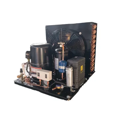 Scroll Compressor Energy Saving Outdoor Cooling Condensing Unit for Freezer Cold Storage Core Equipment