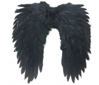 Wholesale Hot selling Cheaper Black Angel Larger Carnival Party Black Red Feather Angels wings for Halloween Cosplay Sale