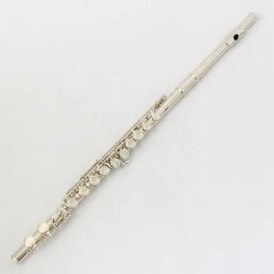 Factory OEM Flute 16 Holes Nickel Plated Woodwind Instrument Flute With Case