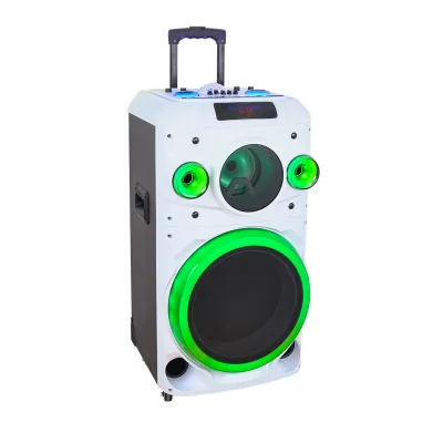 2025 Speaker Manufacturer Big Power 15 Inch  Trolley Wooden Speaker Party Speaker with Starry Light
