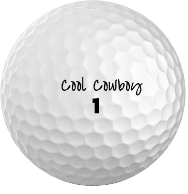 Premium Professional Golf Balls 4 Piece Construction Golf Tournament Game Balls Maximum Distance and Straighter Shots