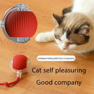 Bite-resistant Automatic Cat Teaser Ball Cat Toy Ball High Self Amusement Reliever With Rope Cat Supplies Jumping Ball