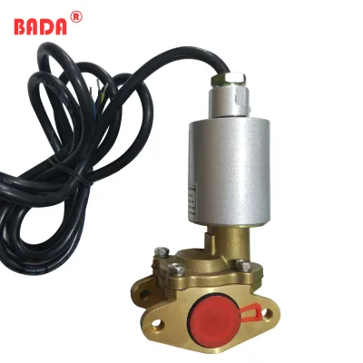 BADA Brass Material Daul Flow Solenoid Valve DSF-40