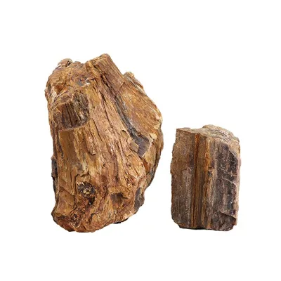 Aquarium Fish tank Landscaping Natural Wood fossil