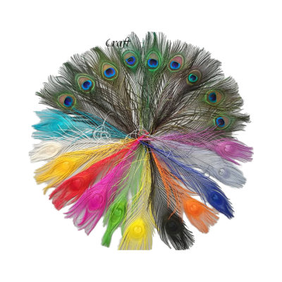 High Quality Long Natural Color Peacock Feathers Big Eye White Peacock Feathers for Wedding Dresses & Carnival Decorations