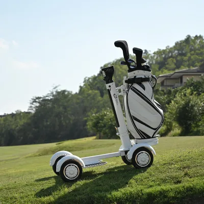 CE Approved 4 Wheel Self Golf Electric Scooter Cart Stand up Golf Cart